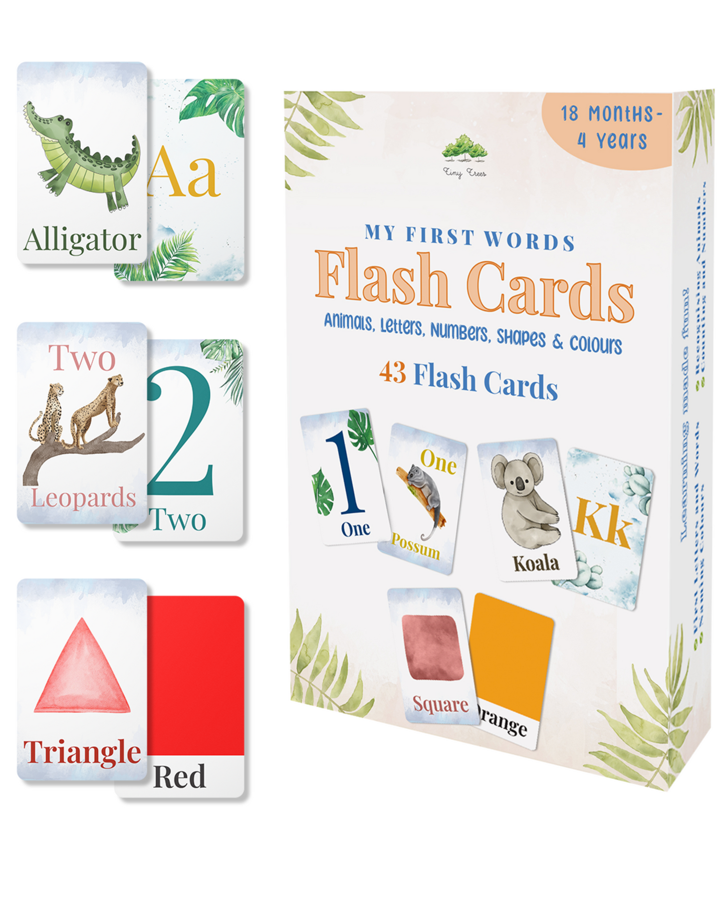 Flash Cards