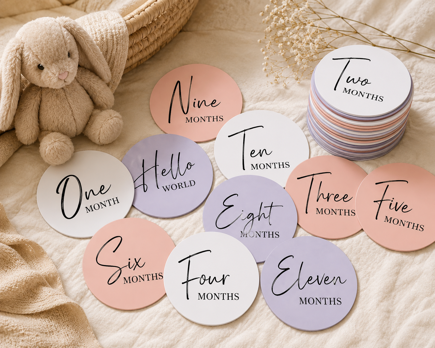 Baby Monthly Milestone Disc Set