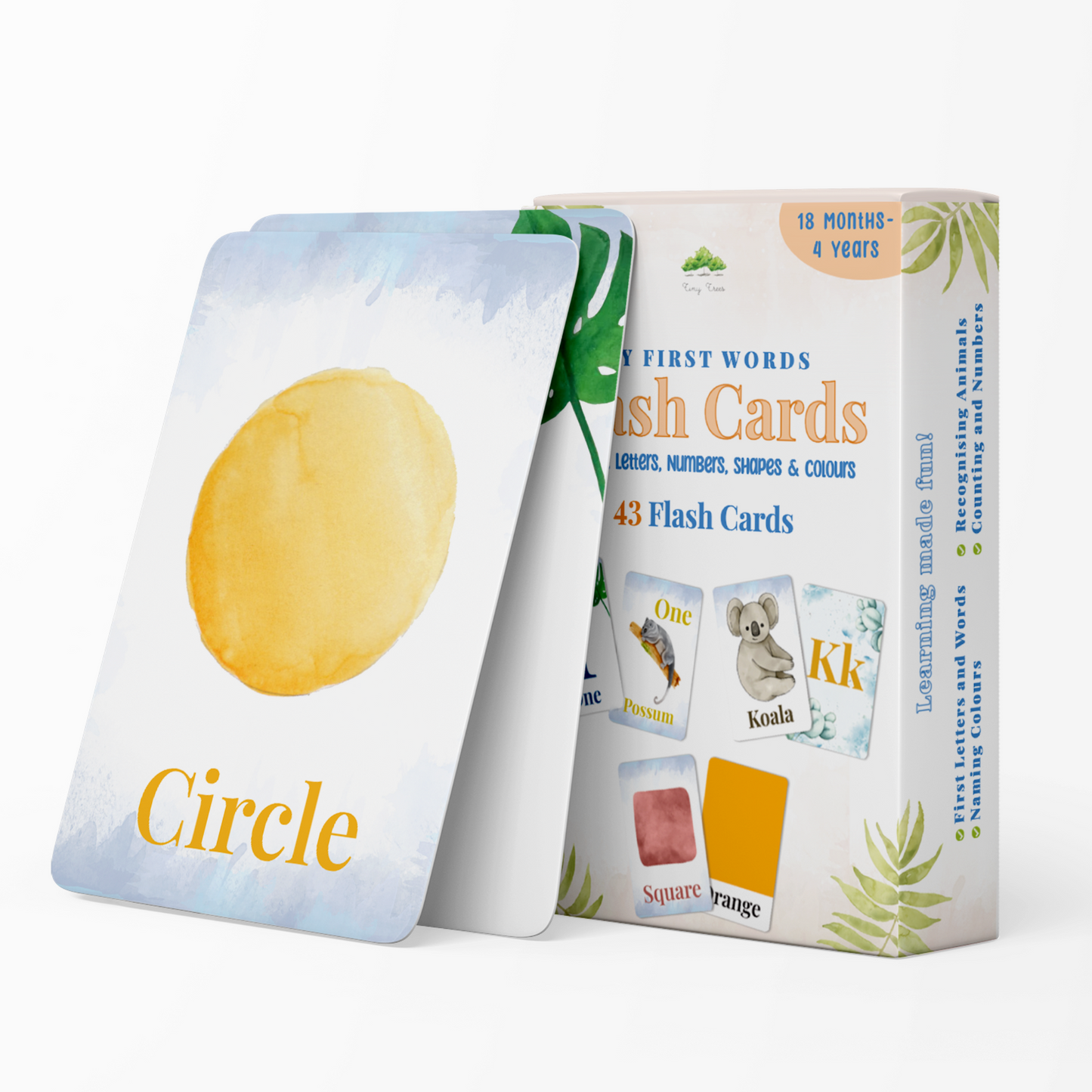 Flash Cards