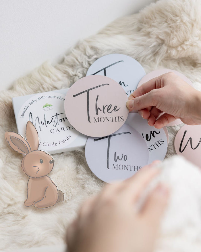 Baby Monthly Milestone Disc Set